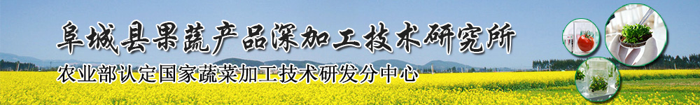 農業部認定國家蔬菜加工技術研發分中心-阜城縣蔬菜產品深加工研究所