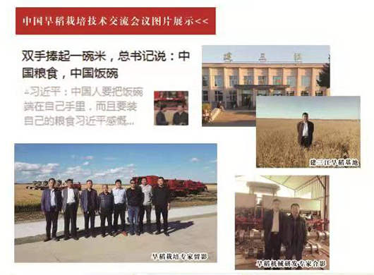 中國旱稻栽培種植專家、農民狀元、學者技術交流會在建三江召開